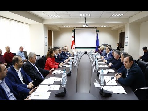 სოციალური პარტნიორობის სამმხრივი კომისიის სხდომა